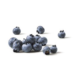 Whole Blueberries