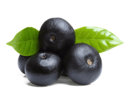 Açai base