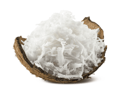 Shredded Coconut