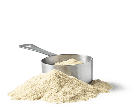 Whey Protein
