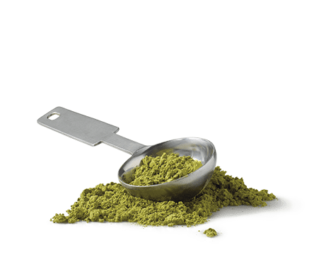 Matcha Green Tea