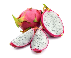 Dragon Fruit Sorbet