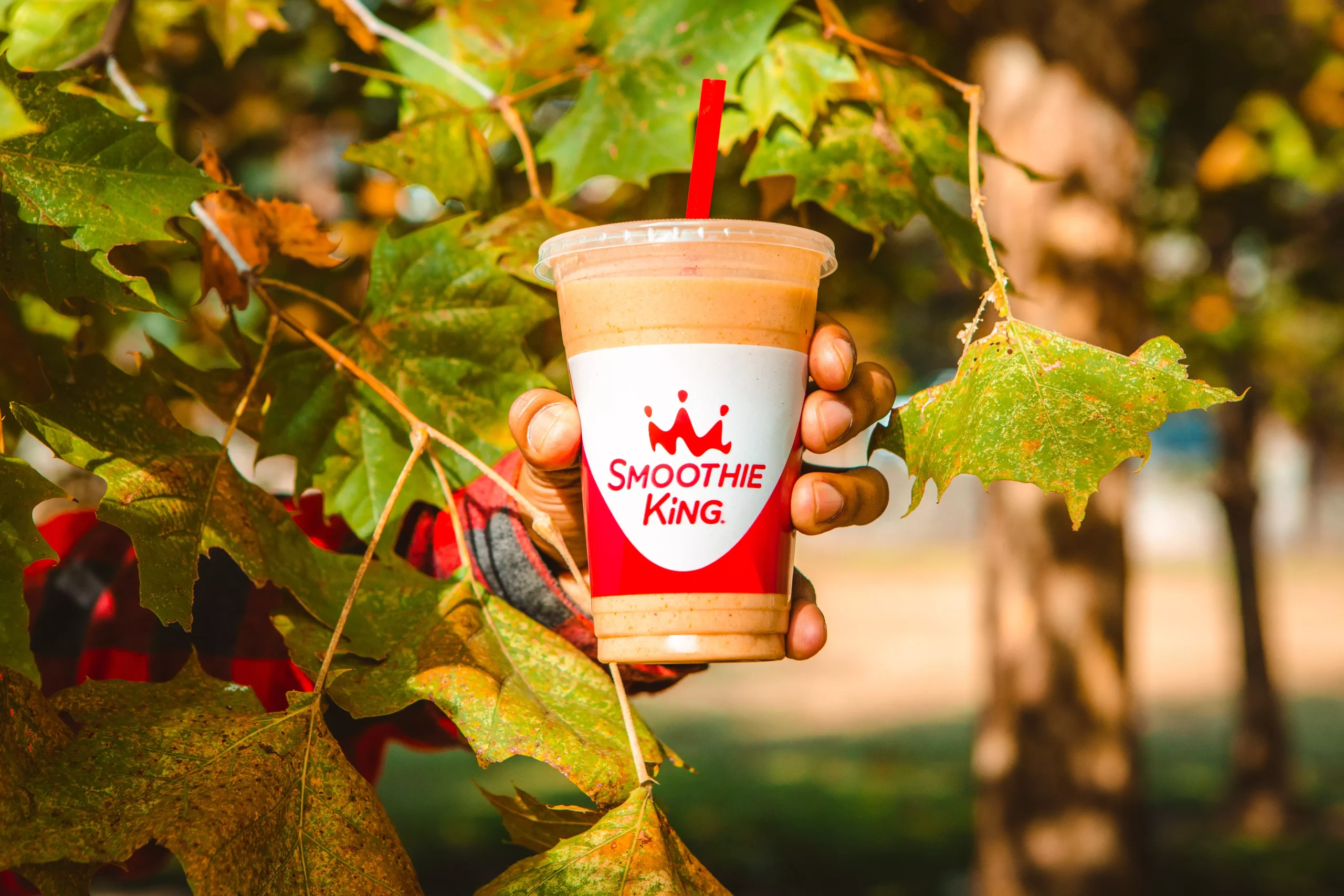 Which Fruits Are in Season During Fall?